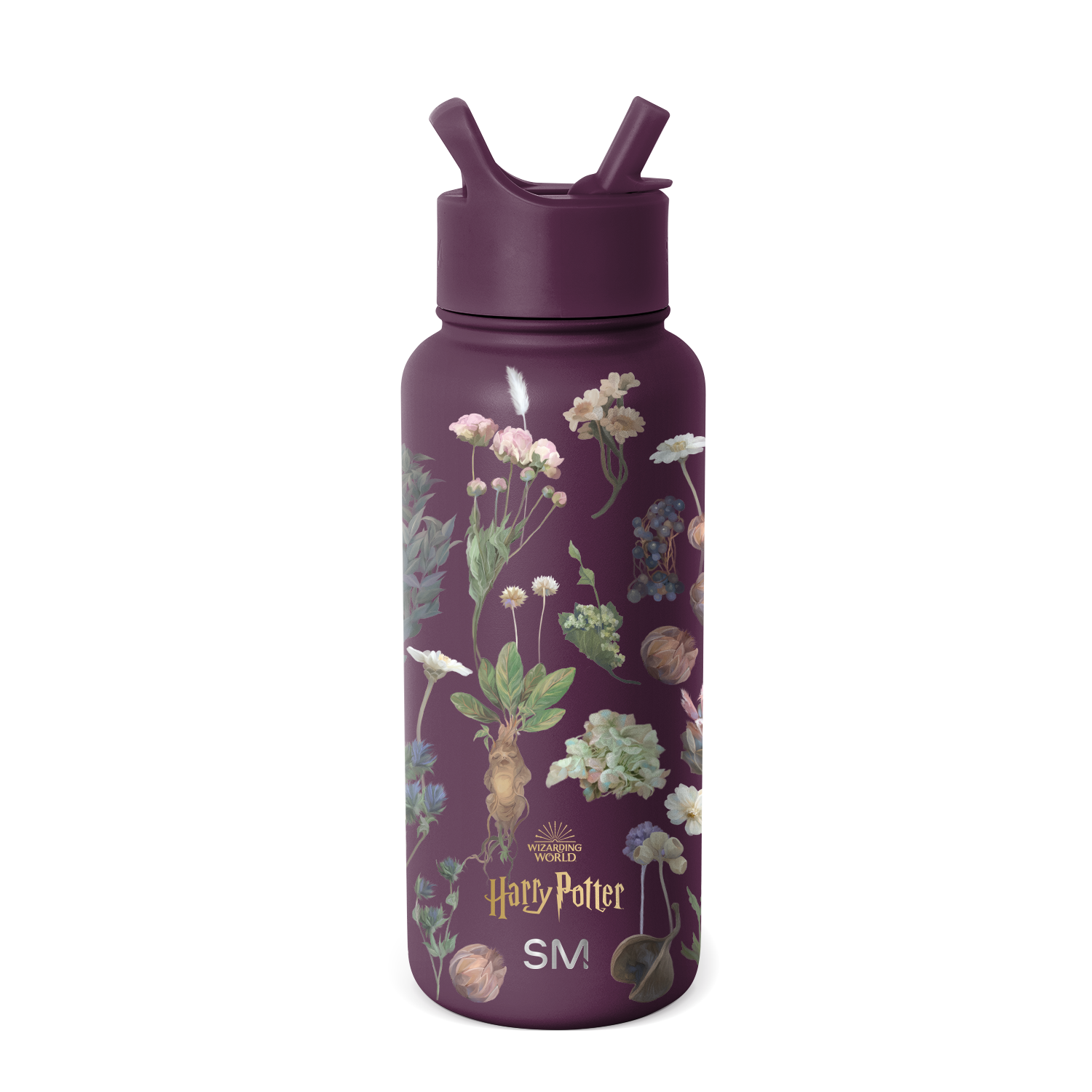 Harry Potter Summit Water Bottle with Straw Lid