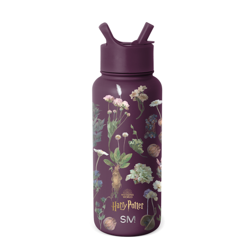 Harry Potter Summit Water Bottle with Straw Lid